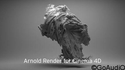 Solid Angle Cinema4D To Arnold 2.2.4 for Cinema4D free download